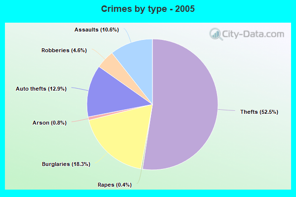 Crimes by type - 2005