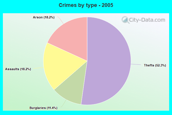 Crimes by type - 2005