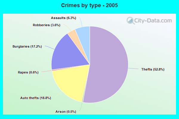 Crimes by type - 2005