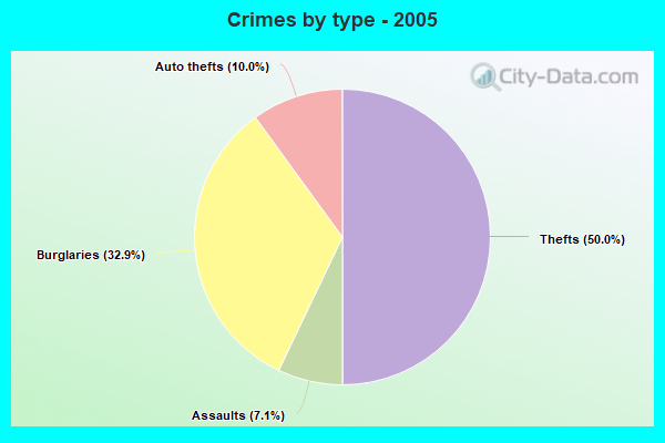 Crimes by type - 2005