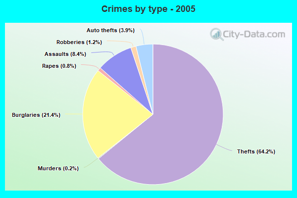 Crimes by type - 2005