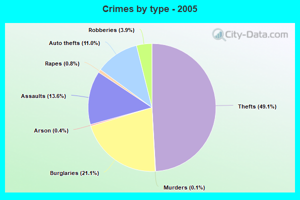 Crimes by type - 2005