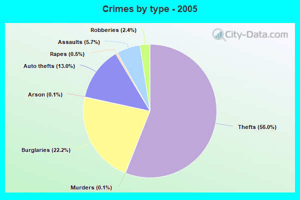 Crimes by type - 2005