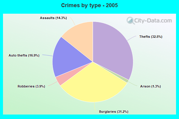 Crimes by type - 2005