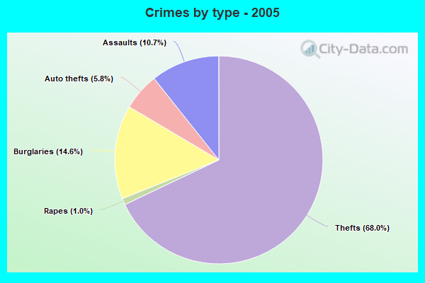 Crimes by type - 2005