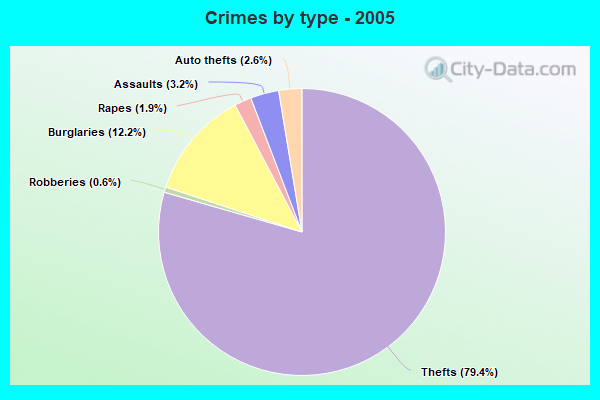 Crimes by type - 2005