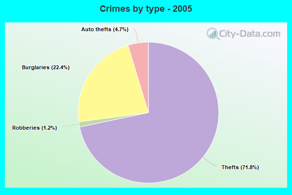 Crimes by type - 2005