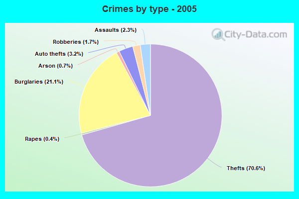 Crimes by type - 2005