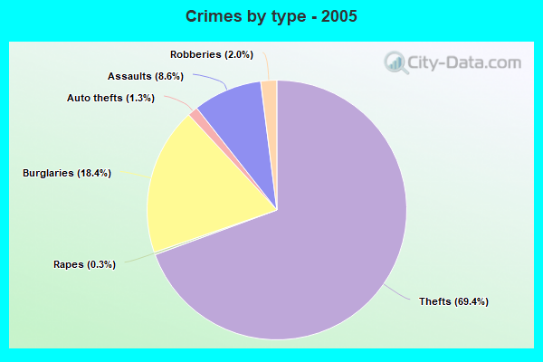 Crimes by type - 2005