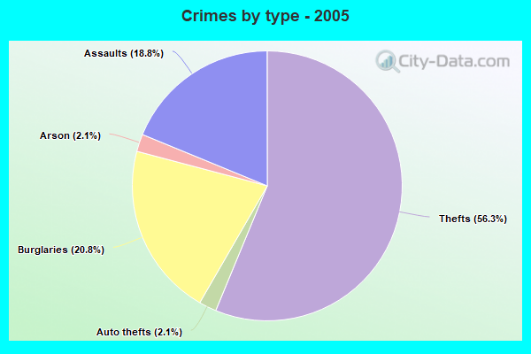 Crimes by type - 2005