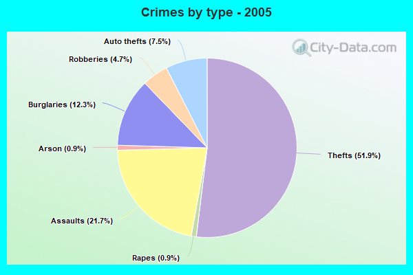 Crimes by type - 2005