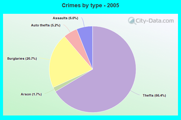 Crimes by type - 2005