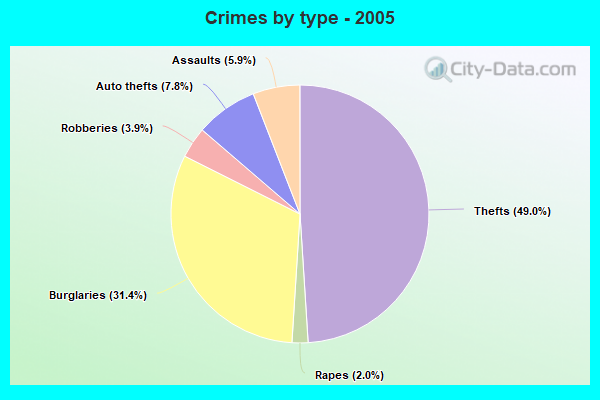 Crimes by type - 2005