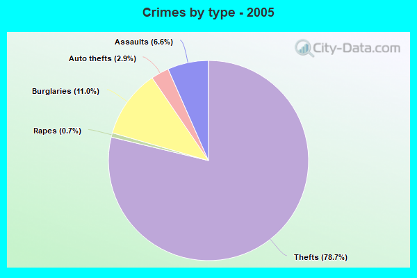 Crimes by type - 2005