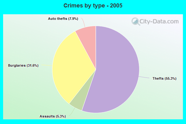 Crimes by type - 2005