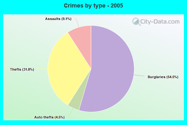 Crimes by type - 2005