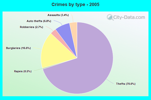 Crimes by type - 2005