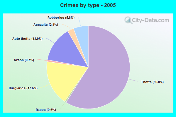 Crimes by type - 2005