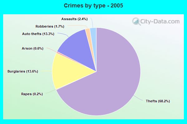 Crimes by type - 2005