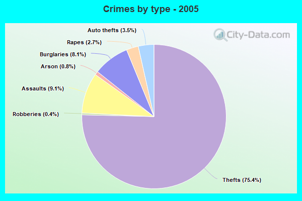 Crimes by type - 2005