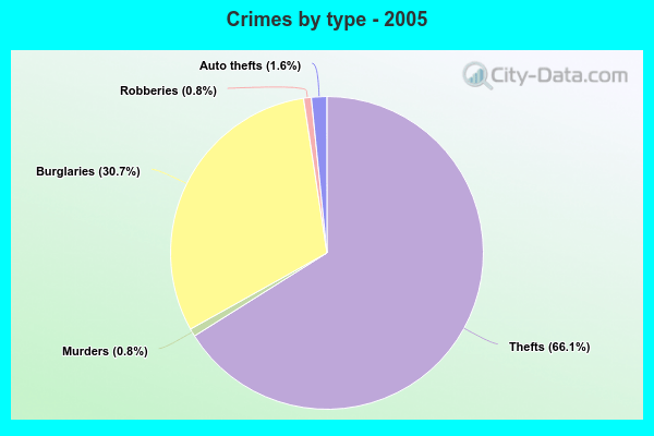 Crimes by type - 2005