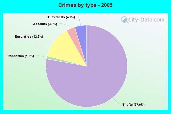 Crimes by type - 2005