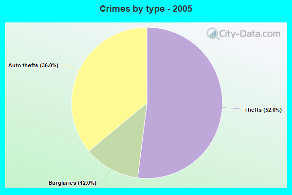 Crimes by type - 2005