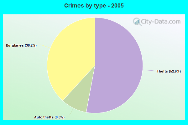 Crimes by type - 2005