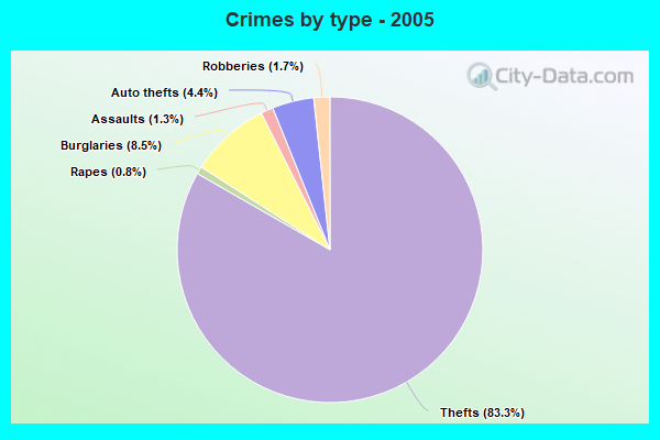 Crimes by type - 2005