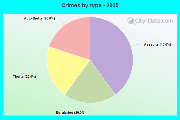 Crimes by type - 2005