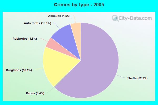 Crimes by type - 2005