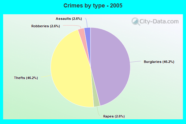 Crimes by type - 2005