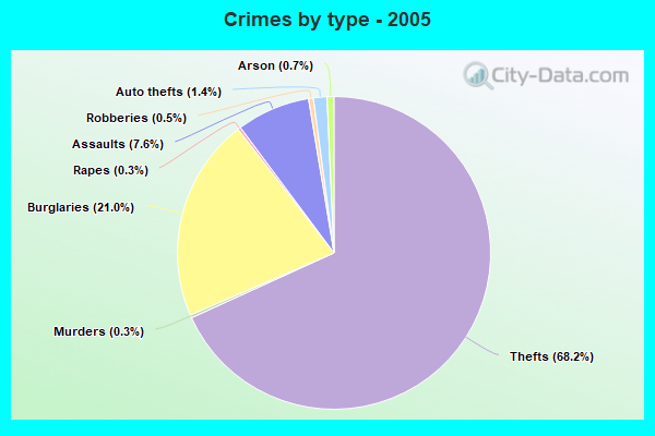 Crimes by type - 2005