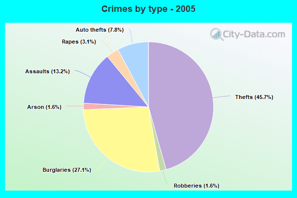 Crimes by type - 2005