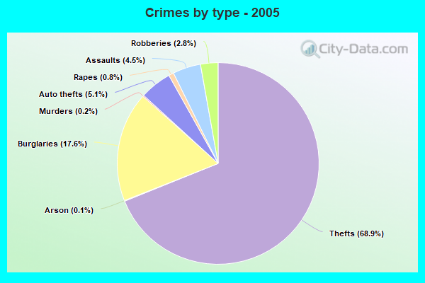 Crimes by type - 2005