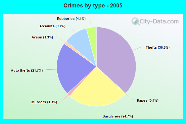 Crimes by type - 2005