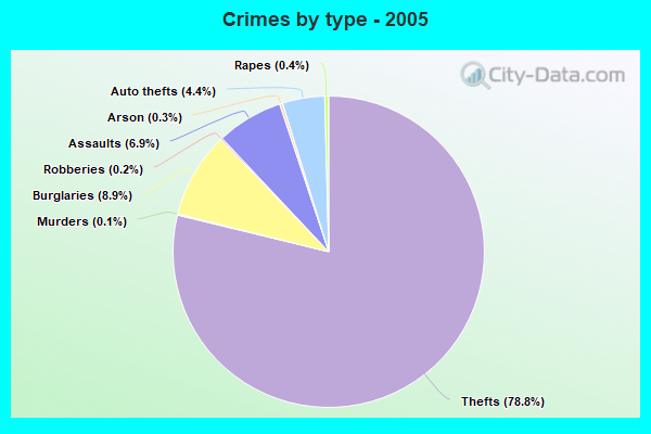 Crimes by type - 2005