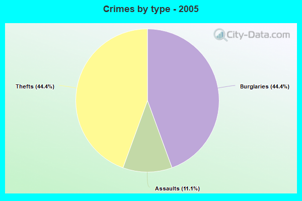 Crimes by type - 2005