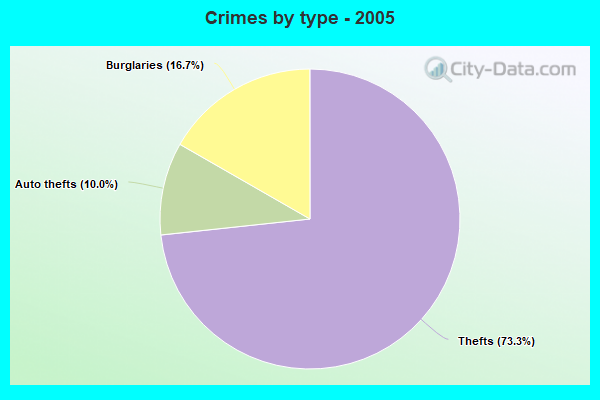 Crimes by type - 2005