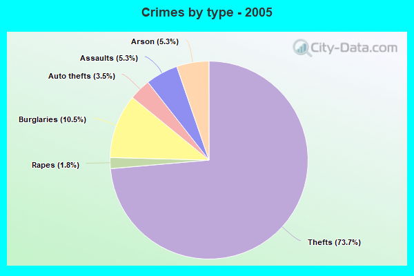 Crimes by type - 2005