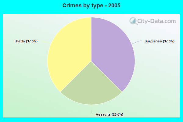 Crimes by type - 2005