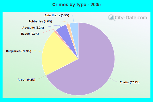 Crimes by type - 2005