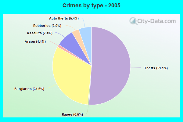 Crimes by type - 2005