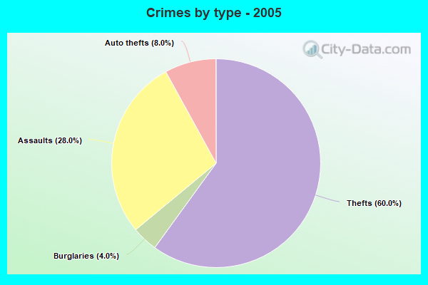 Crimes by type - 2005