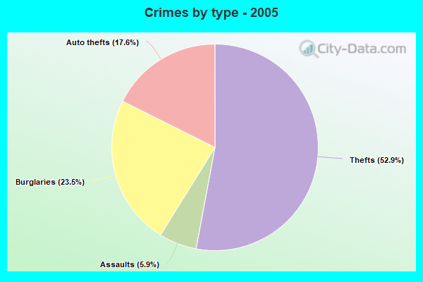 Crimes by type - 2005