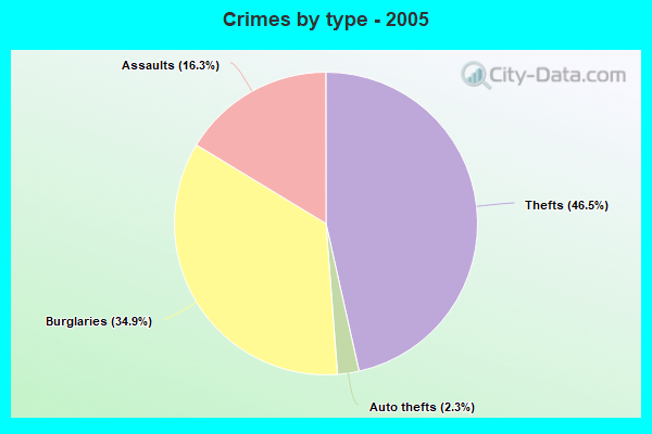 Crimes by type - 2005