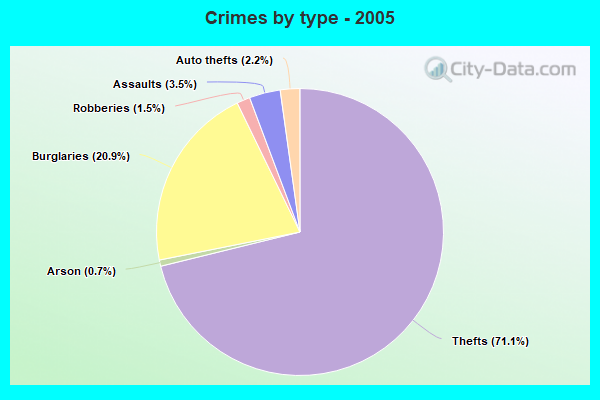 Crimes by type - 2005