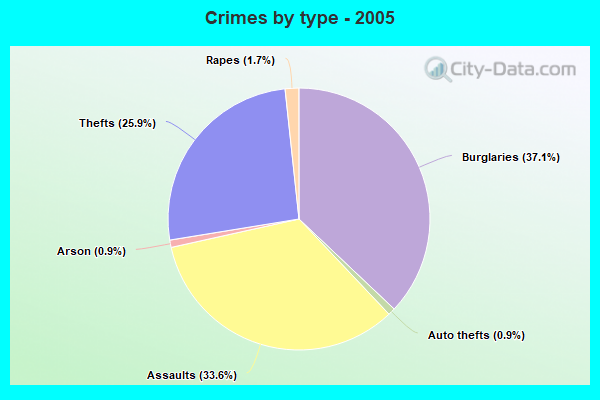 Crimes by type - 2005