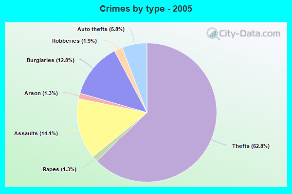 Crimes by type - 2005