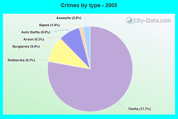 Crimes by type - 2005